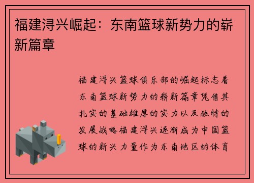 福建浔兴崛起：东南篮球新势力的崭新篇章