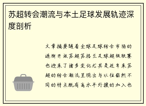 苏超转会潮流与本土足球发展轨迹深度剖析